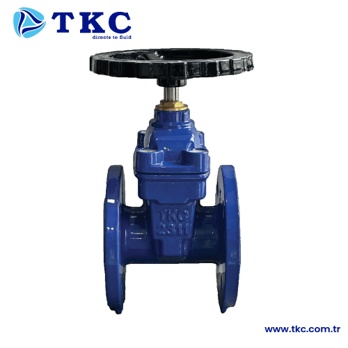 TKC9090 Resilient Seat Gate Valve F4 DIN3216