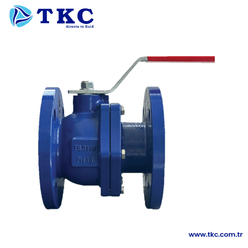 TKC6890 Kresel Vana Tam Geili 2 Paral PN16