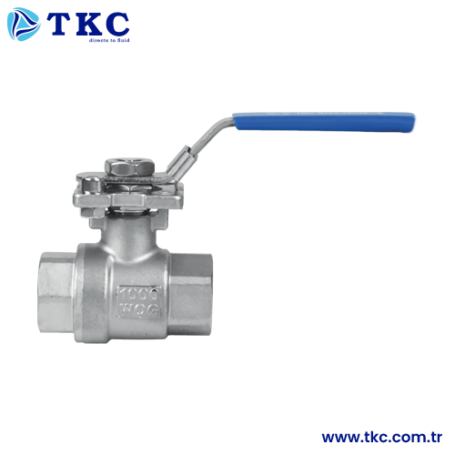 TKC6721P Threaded SS304 Two Pieces Ball Valve