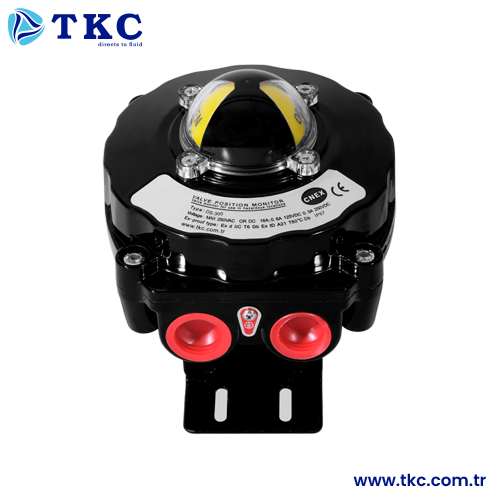 TKC7081 Exproof Switch Box