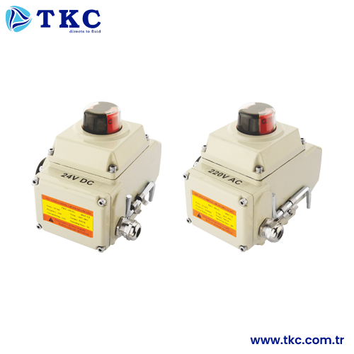 Electric Actuator